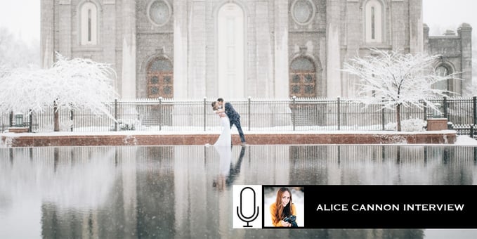 alice-shoots-people-banner.jpg